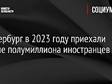 В Петербург в 2023 году приехали больше полумиллиона иностранцев