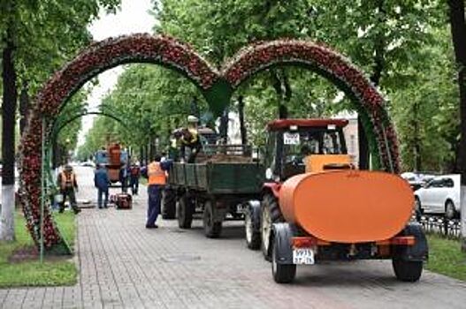 На проспекте Ленина в Ярославле установят 20 цветочных арок