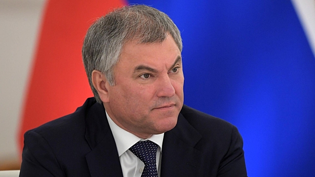 Володин высказался о тестировании детей мигрантов на знание русского