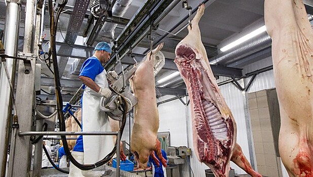 Свинокомплекс «Томский» возобновил выпуск продукции после санации