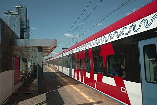 После саморасцепа вагонов в Подмосковье проверят все поезда