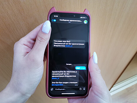 Мэрия Владивостока готова принимать обращения граждан через Telegram-бот