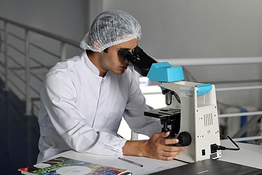 Эксперт Кузьмин: Опасные бактерии Vibrio могут появиться в морях на юге РФ