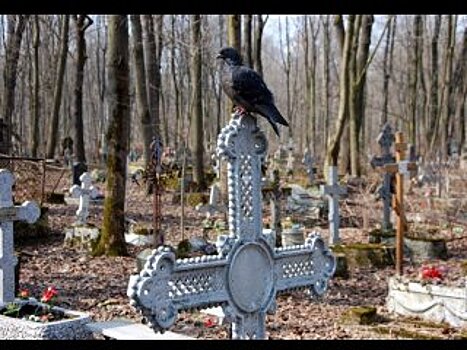 Для ремонта дороги на уфимском кладбище мэрия выделит 6,2 млн рублей