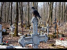 Для ремонта дороги на уфимском кладбище мэрия выделит 6,2 млн рублей