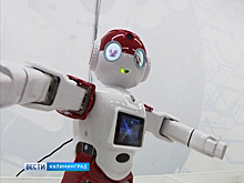 В Калининграде продолжает работу интерактивная выставка «Империя роботов»