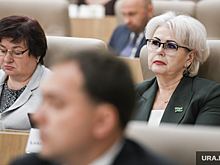 Бюджетники взбунтовались против протеже РМК в думе Екатеринбурга