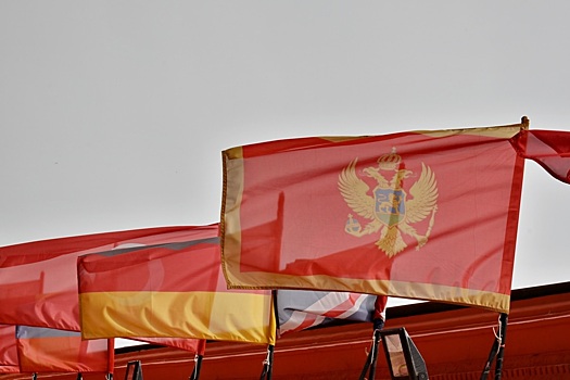 В Черногории назвали ошибкой санкции против России и вступление в НАТО