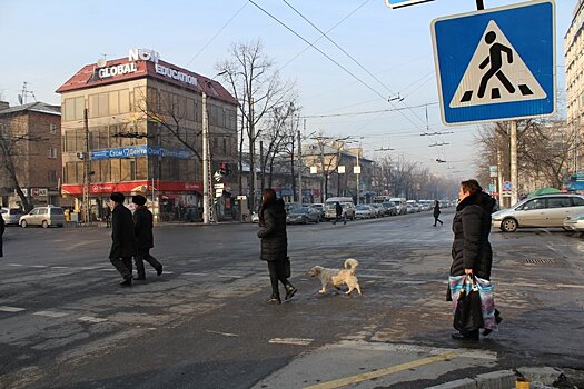 Внедрение системы "Умный город" начнется со столицы Киргизии