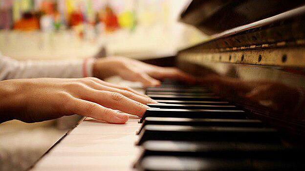 Новогодний концерт проведут воспитанники детской музыкальной школы Отрадного