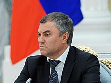 Володин анонсировал законопроект о штрафах за продажу детям энергетиков