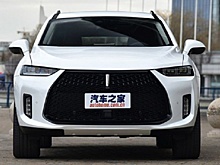 У Kia Carnival в РФ может появиться серьезный конкурент. WEY вывела на тесты новый минивэн