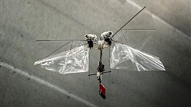 Ученые учат летать дрон-муху