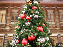 Производителей искусственных елок обяжут отвечать за их утилизацию