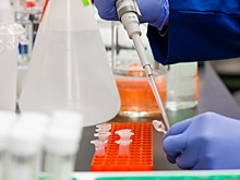 Программа CROPSR поможет ускорить генетические открытия в селекции сельхозкультур