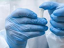 На Чукотке не зафиксировали прироста числа случаев COVID-19