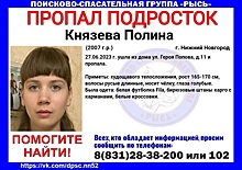 Следователи заинтересовались пропажей 16-летней девушки в Нижнем Новгороде