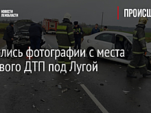 Появились фотографии с места массового ДТП под Лугой