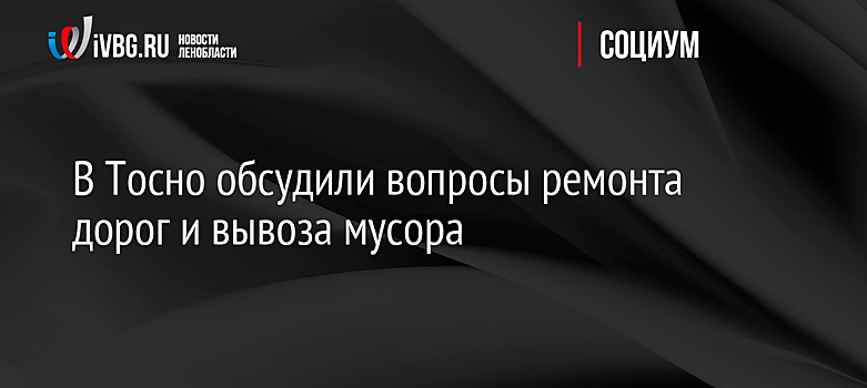 В Тосно обсудили вопросы ремонта дорог и вывоза мусора