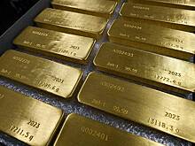 Золотовалютные резервы Украины достигли максимума за 10 лет