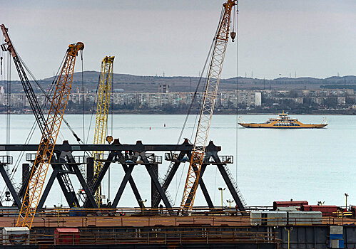 Из-за строительства Крымского моста увеличилась популяция дельфинов