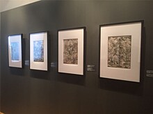 Пять причин посетить выставку гравюр Дюрера в историческом музее