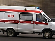 В МВД проводят проверку по факту смертей от отравления в Подмосковье