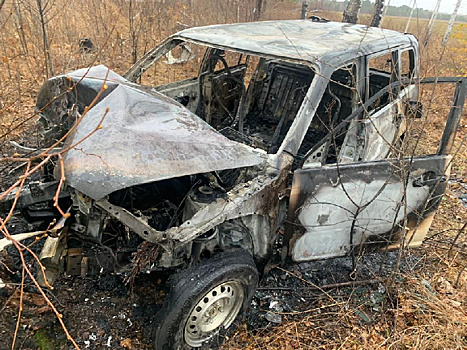 Трое пострадали: в Приамурье автомобиль вылетел с дороги, врезался в дерево и загорелся