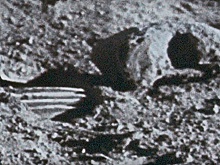 Загадочный череп «гуманоида» обнаружили на снимках лунной миссии «Аполлон-11»