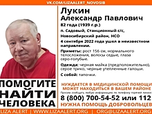 Пенсионера с потерей памяти ищут под Новосибирском
