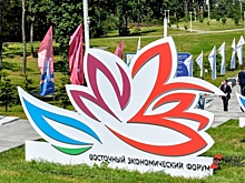 Соглашения на триллионы и «соколиная дипломатия»: озвучены предварительные итоги ВЭФ