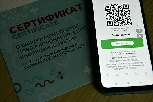 В Калининграде родителей пустят на новогодние утренники без QR-кодов