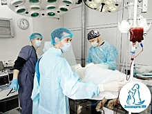 Нижегородские ветеринары прооперировали спасенного из мусорки пса