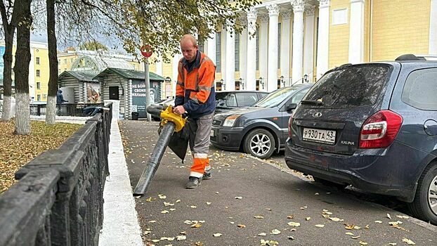 За сутки с улиц Кирова подрядчики убирают 70 кубометров мусора