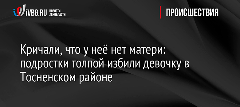 Кричали, что у неё нет матери: подростки толпой избили девочку в Тосненском районе