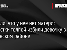 Кричали, что у неё нет матери: подростки толпой избили девочку в Тосненском районе
