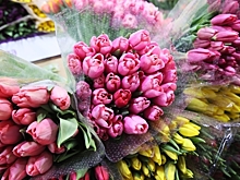 Депутаты призвали запретить повышать цены на цветы 8 марта