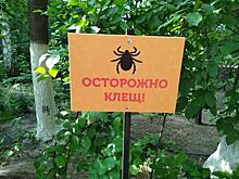 Более 1,7 тысячи случаев присасывания клещей зафиксировано в Забайкалье