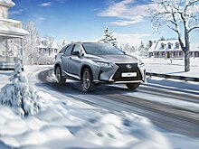Lexus продал в России рекордное количество машин