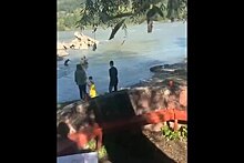 Россиянка сорвалась со скалы в горную реку из-за селфи и попала на видео