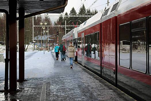 Двое украинцев плюнули кондуктору в лицо и избили машиниста пассажирского поезда
