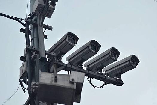 В Новосибирской области установят муляжи камер нарушений ПДД за 8,4 миллиона рублей