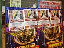 В день столетия революции на улицах Нового Уренгоя собираются митинговать против «Роснефтегаза»