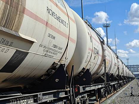 Петербургский нефтяной терминал впервые импортировал пальмовое масло