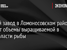 Новый завод в Ломоносовском районе удвоит объемы выращиваемой в Ленобласти рыбы