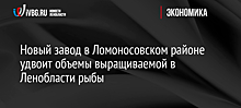 Новый завод в Ломоносовском районе удвоит объемы выращиваемой в Ленобласти рыбы