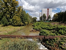 «Молодежная аллея дружбы народов Евразии» появилась в Нижнем Новгороде