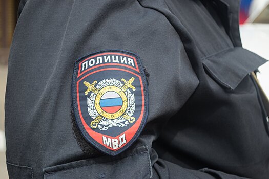 У пассажира в аэропорту Домодедово взорвалась свето-шумовая граната. Пострадавших нет, мужчина задержан