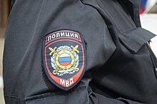 У пассажира в аэропорту Домодедово взорвалась свето-шумовая граната. Пострадавших нет, мужчина задержан