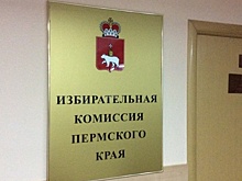 Глава прикамского крайизбиркома и омбудсмен призвали участников выборов соблюдать закон